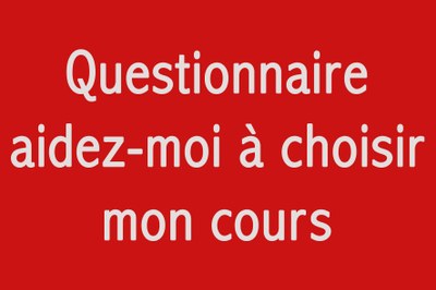 Bouton Questionnaire